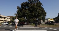 Contributor: It's no wonder Angelenos are painting crosswalks themselves