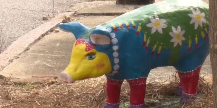 Painted pig ‘Murtis’ becomes newest attraction at Kinston Farmers Market