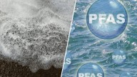 Encuentran PFAS en la sangre de nuevomexicanos