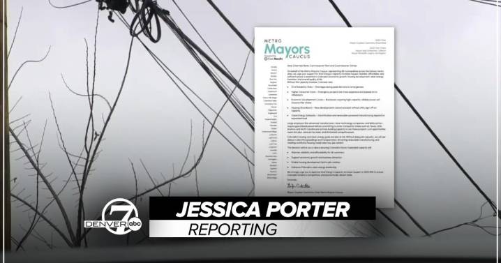 Metro Mayors Caucus supports Xcel Energy's plan to upgrade the state's electrical distribution system