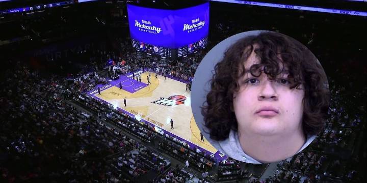 Man arrested after throwing sex toy at fans during WNBA game, hitting 9