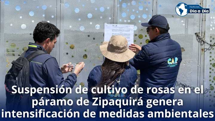 Suspensión de cultivo de rosas en el páramo de Zipaquirá genera intensificación de medidas ambientales