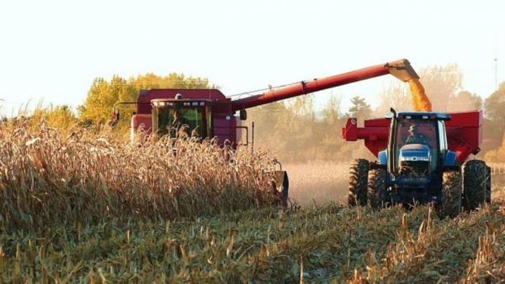 Agronegocios: 80% de las empresas se financia con créditos en dólares y a más de un año de plazo