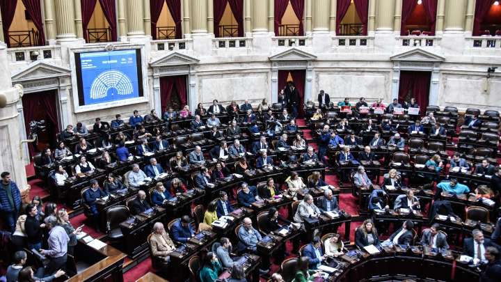 Diputados opositores pidieron sesión especial para tratar normas vetadas por Milei