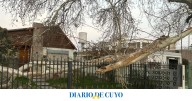 Una rama de gran tamaño cayó sobre una vivienda en Rawson
