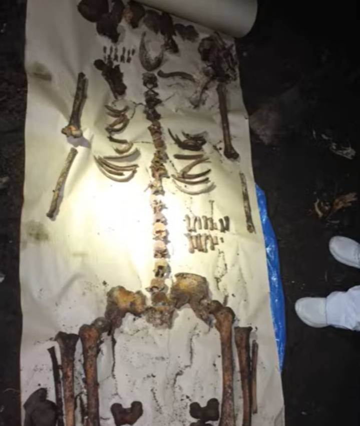 Crimen de Coghlan. Habló la antropóloga forense que reconoció los restos óseos de Diego Fernández Lima