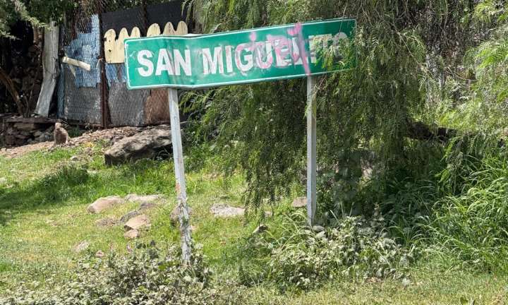 Huye tras quitarle la vida a su tío