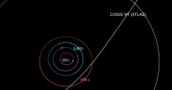 Scientists Say Entity Hurtling Through Space May Be Alien Spaceship