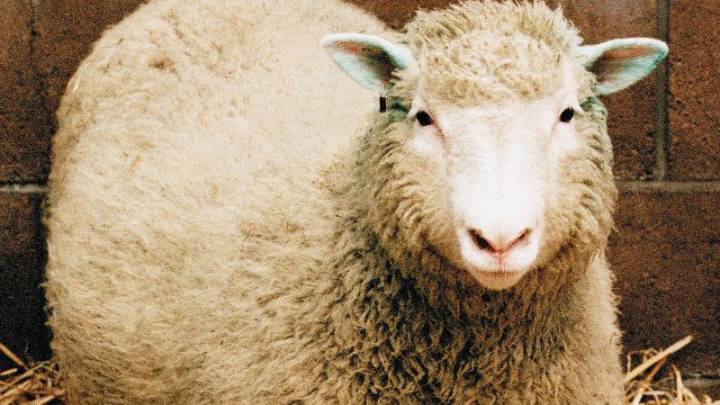 Cloning Fast Facts