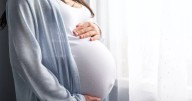 Deadly Oropouche virus could have 'severe consequences' for pregnant women