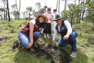 Temoaya celebra el Día de los Pueblos Indígenas con reforestación en el Cerro de Catedral