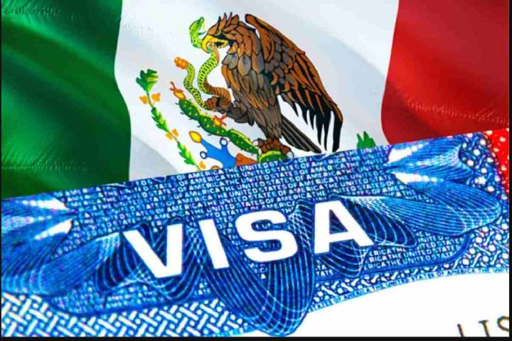 ¡Ya puedes sacar la visa electrónica mexicana! Checa quienes pueden solicitarla
