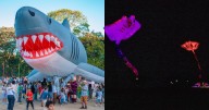 Más de 7.000 tolimenses participaron del Festival de Cometas Al Aire de ComfaTolima