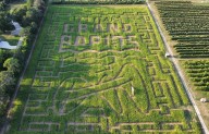 Robinette’s 2025 maze design honors Grand Rapids’ 175th anniversary