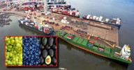 Perú superará a Chile en agroexportaciones este 2025, pero el Congreso premia con reducción de impuestos a un sector ya consolidado