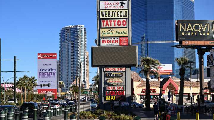 Las Vegas has become a 'ticking time bomb' after spike in 'biting machine' bugs with huge disease threat, experts say