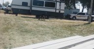 K9 Demonstration at Jerome Fair