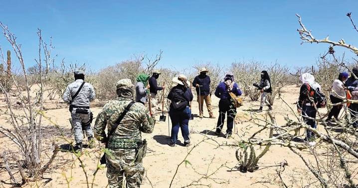 Más homicidio y desaparición en BCS... y el góber se va al beis