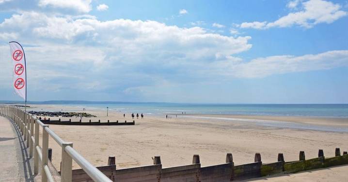 Urgent warning to dog owners over ‘toxic’ Broadwater beauty spot as pet dies