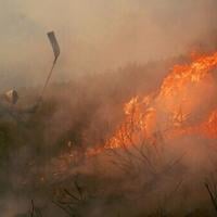 Wildfires pile pressure on Spanish PM