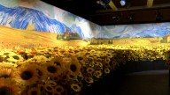 Step into Van Gogh's mind at Wichita's immersive exhibit