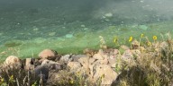 Health alert issued for two southeast Nebraska lakes