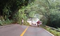 Caída de ramas afectó vialidad en Vega Larga