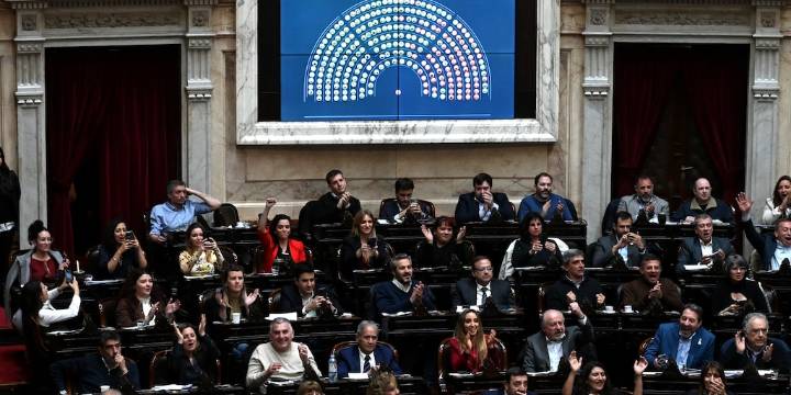 Uno por uno: así votaron los diputados el rechazo al veto de Milei a la ley de emergencia en discapacidad