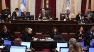 El Senado discute en comisión los proyectos de emergencia en pediatría y financiamiento universitario