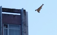 Dron ruso explota en territorio de Polonia; el aliado de Ucrania denuncia una "provocación" de Rusia