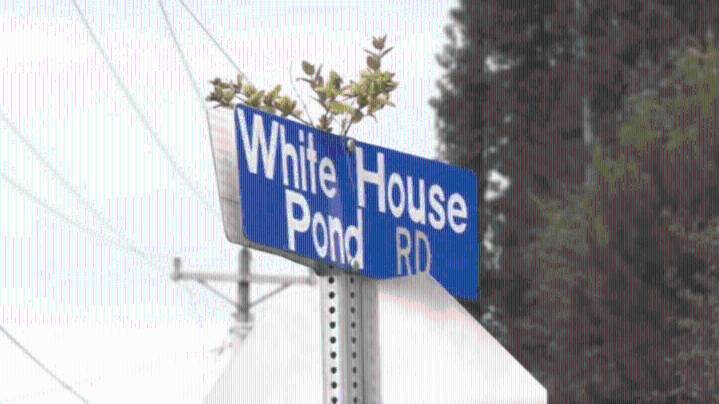 Body found in rural Dorchester County identified, deemed homicide victim