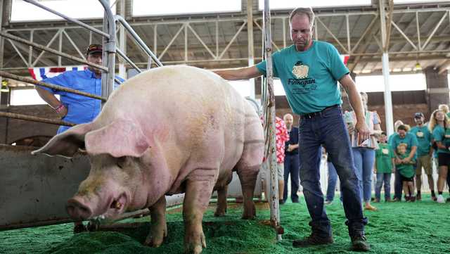 What to do on Day 1 of the 2025  Iowa state Fair