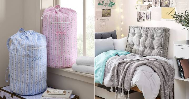 Best Dorm Room Ideas 2025