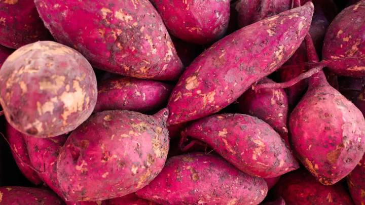 El tubérculo que poca gente conoce y hay que comer para fortalecer la memoria
