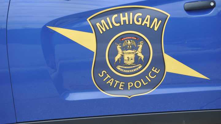 Romeo man accused of beating, dragging dog charged with animal cruelty