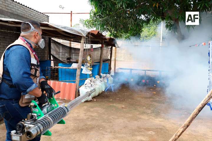 Salud: Colima sin defunciones por dengue; sólo 45 casos durante este año