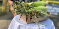 72nd Annual Sun Prairie Sweet Corn Festival happening this weekend