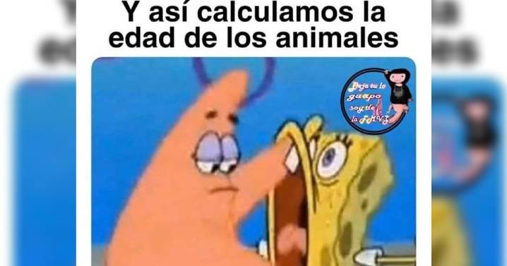 Día del Veterinario: Festeja a los 'dogtores' con estos divertidos memes