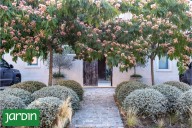 De un jardín sombrío a un espacio abierto. Cómo el diseño logró más luz, mejores perspectivas y rincones pensados para disfrutar todo el año