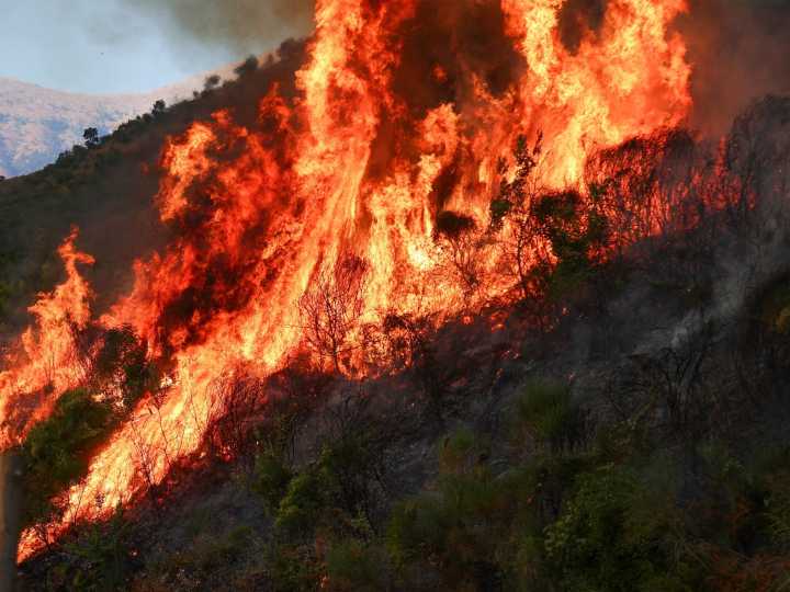 Wildfires ravage Europe amid intense heatwave