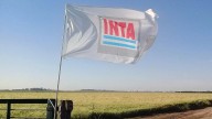 Inta: el gobierno nacional pasó a disponibilidad a 286 trabajadores