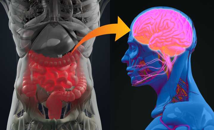 Gut Disorders Linked with Alzheimer’s and Parkinson’s Neurodegeneration