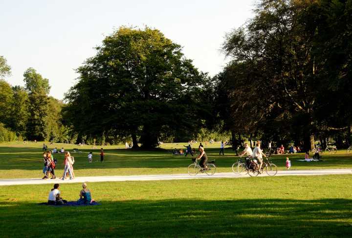 Gorgeous Day At The Park