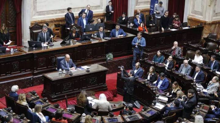 Lilia Lemoine se paró para tapar la cámara cuando hablaba Marcela Pagano y se desató un bochorno en la Cámara de Diputados