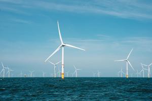 Study warns offshore turbine metals could be poisoning seafood