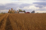 95 Indiana Farms Recognized for Century