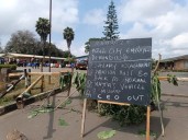 Mzuzu City Council Workers Sit-In Over Pay and Pensions Enters Second Day