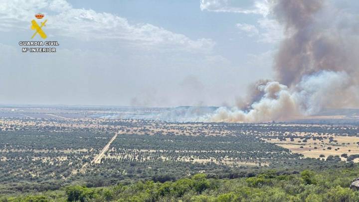 Investigados dos vecinos de Herrera del Duque y Casas de Don Pedro por varios incendios forestales More