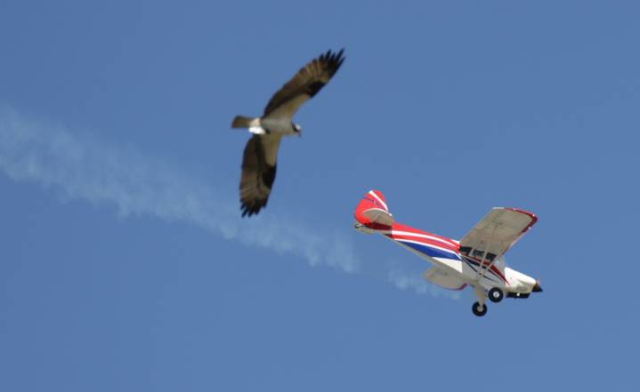 Air Force Thunderbirds headline 2025 Cleveland Air Show: What to know