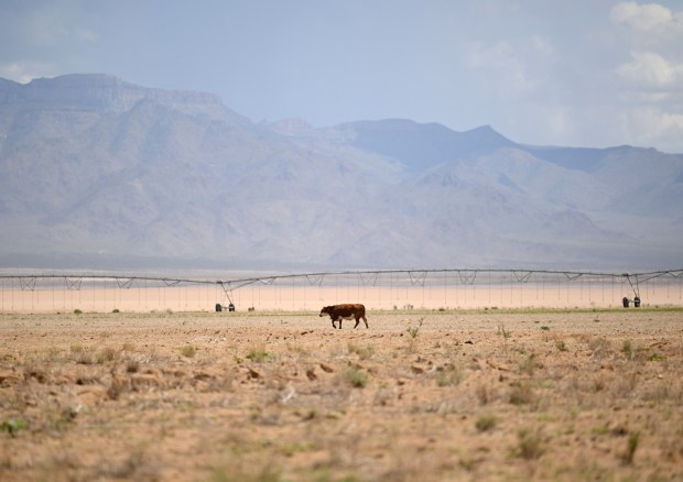 Chance of Colorado River deal is ‘tenuous’ just two months before federal deadline, negotiator says